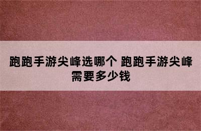 跑跑手游尖峰选哪个 跑跑手游尖峰需要多少钱